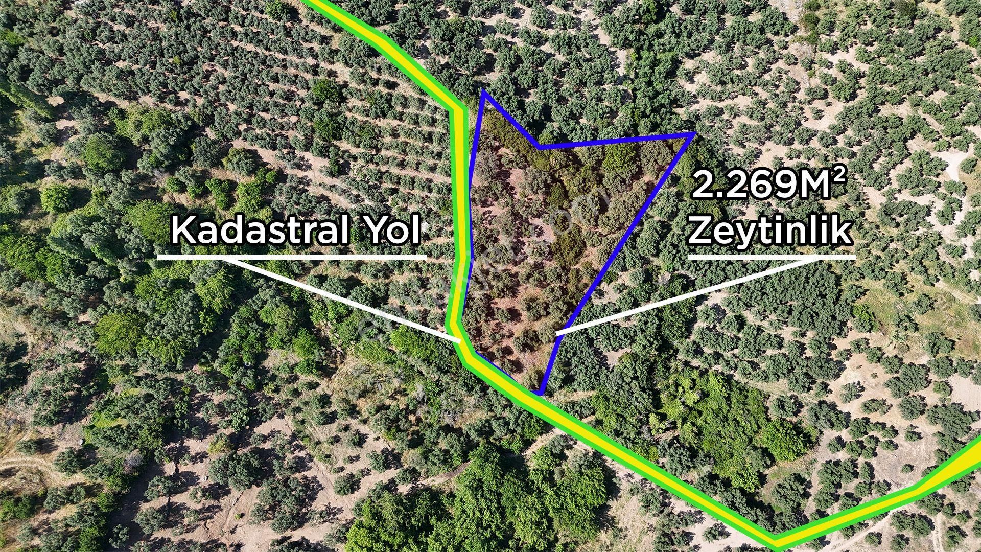 Re/max İnci'den Erdek Hamamlı'da Deniz Manzaralı Satılık 2.269m2 Zeytinlik