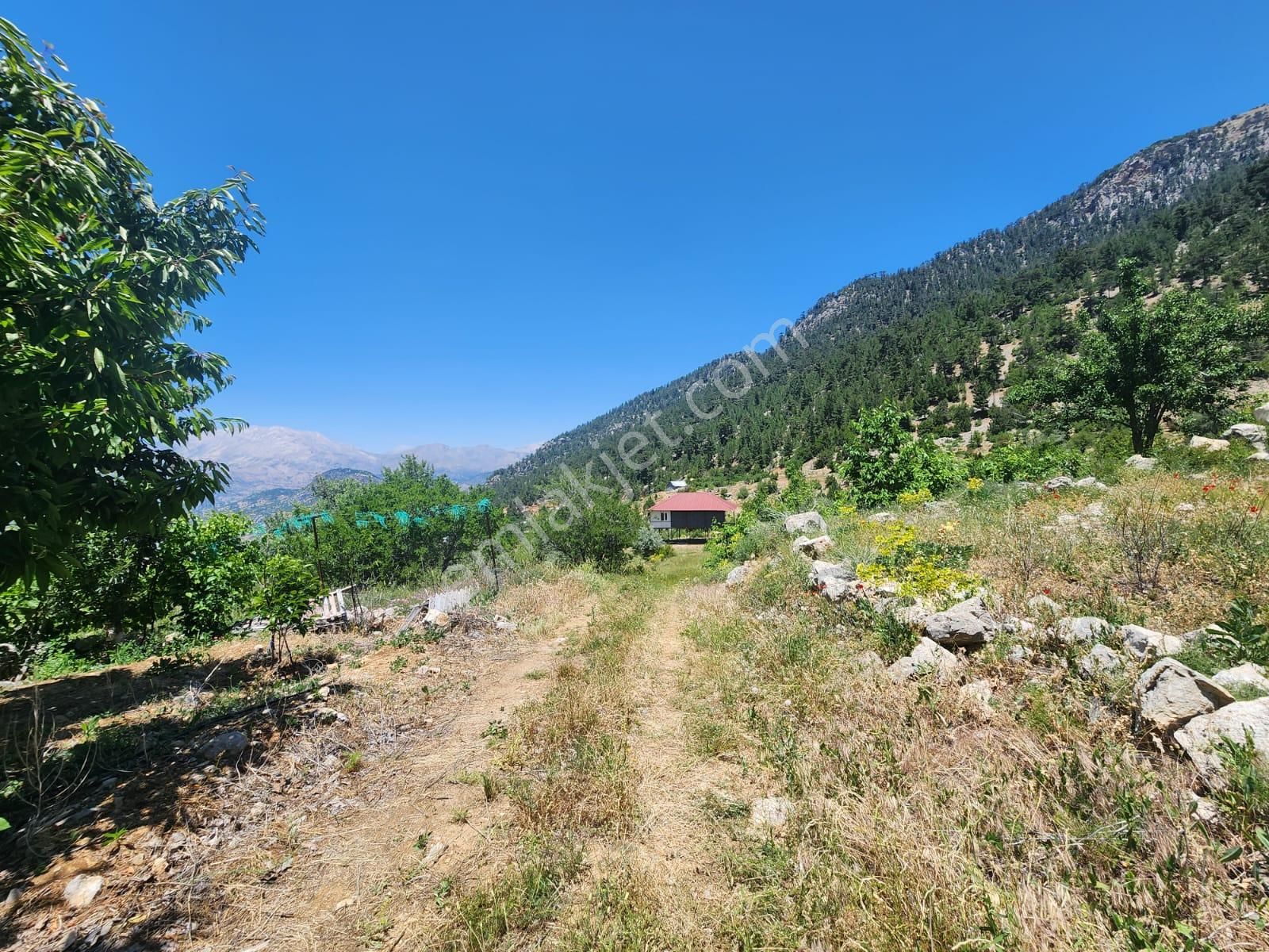 Kadıyakası Yaylasında Satılık Tek Tapu 2100 M2 Tarla