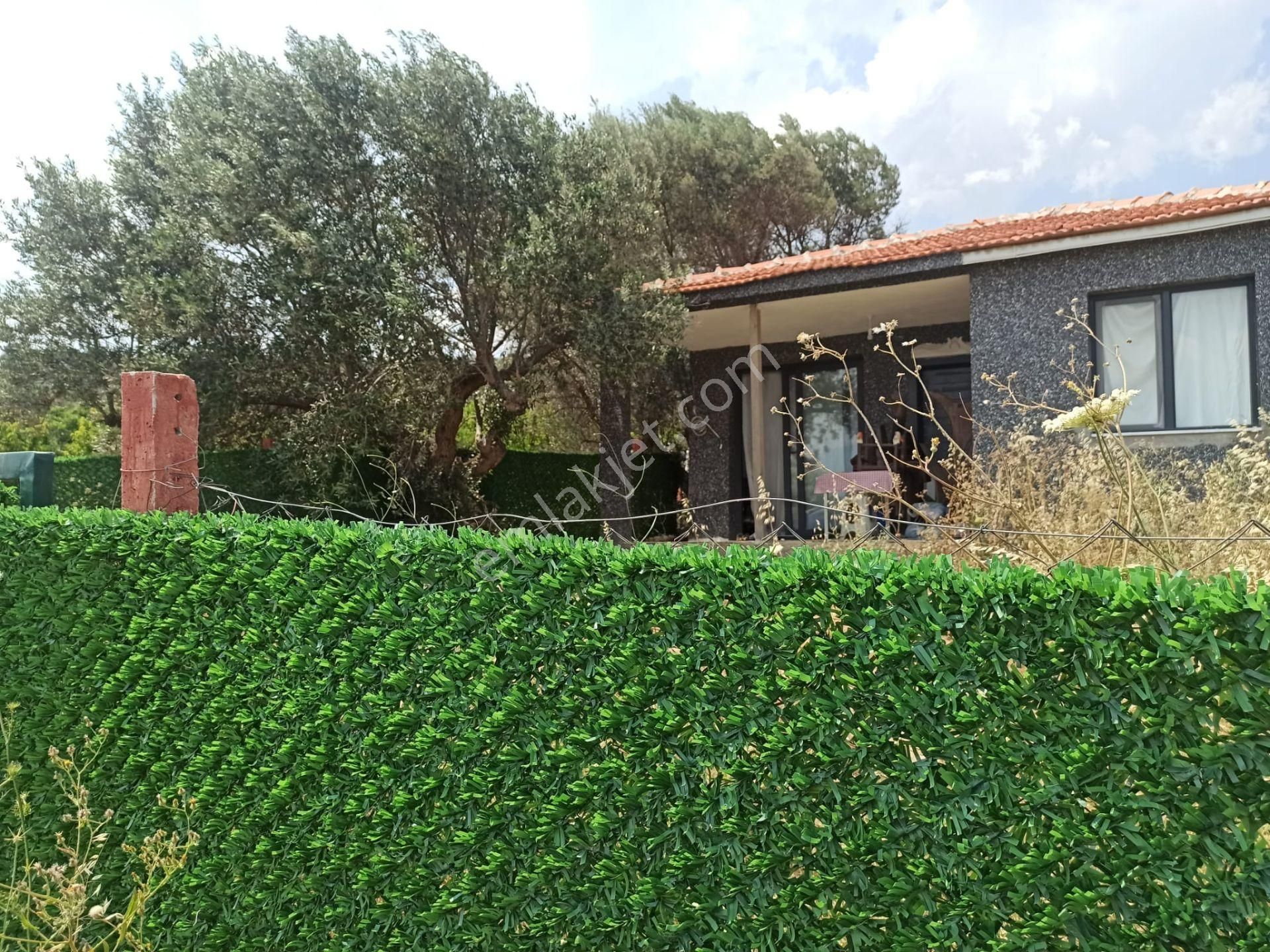 İzmir Bornova Yakaköy Cevizliyaylada Satılık Arazi - Görsel 14