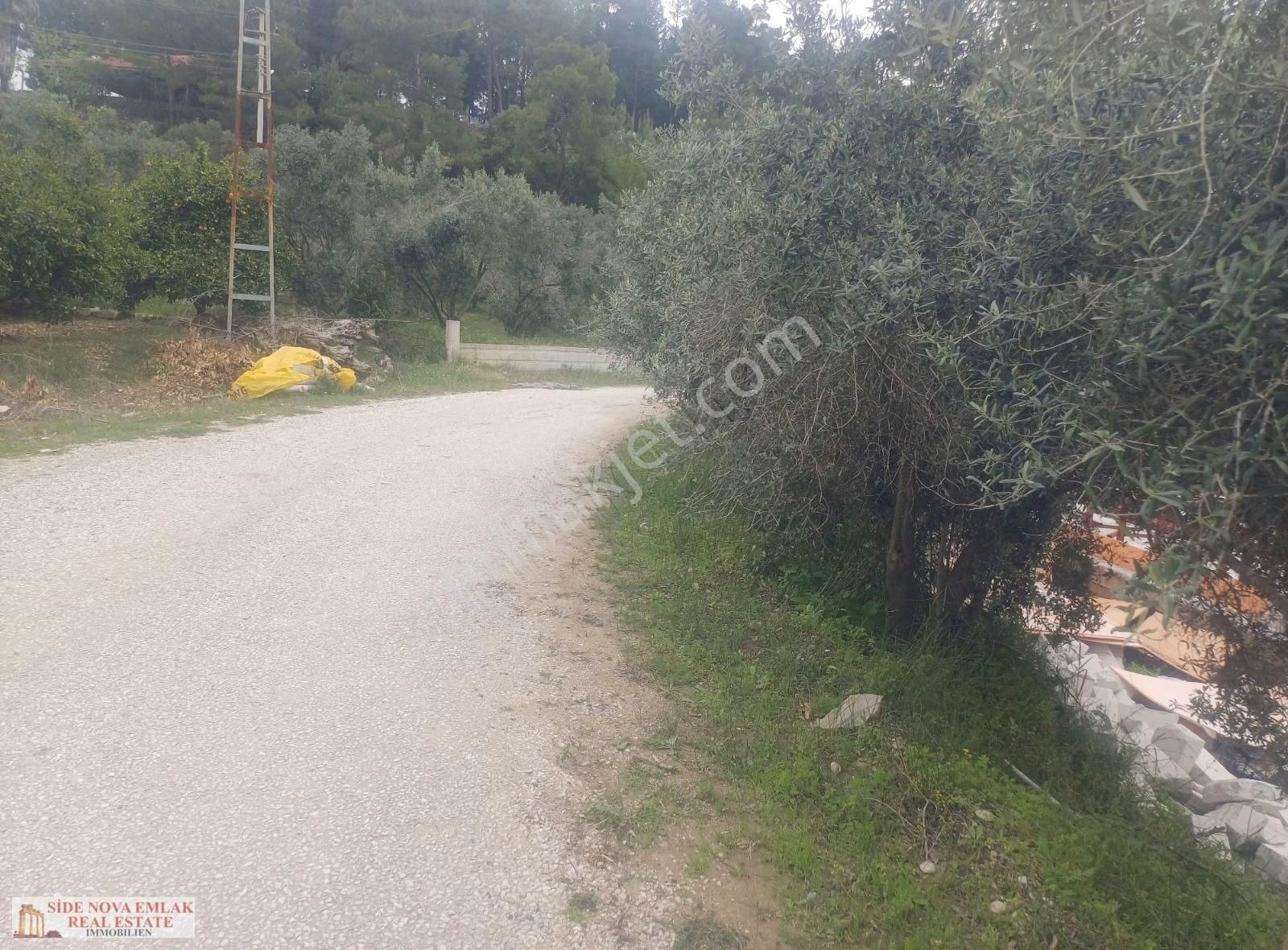 Manavgat Köy İçinde Yola Sıfır Tarla