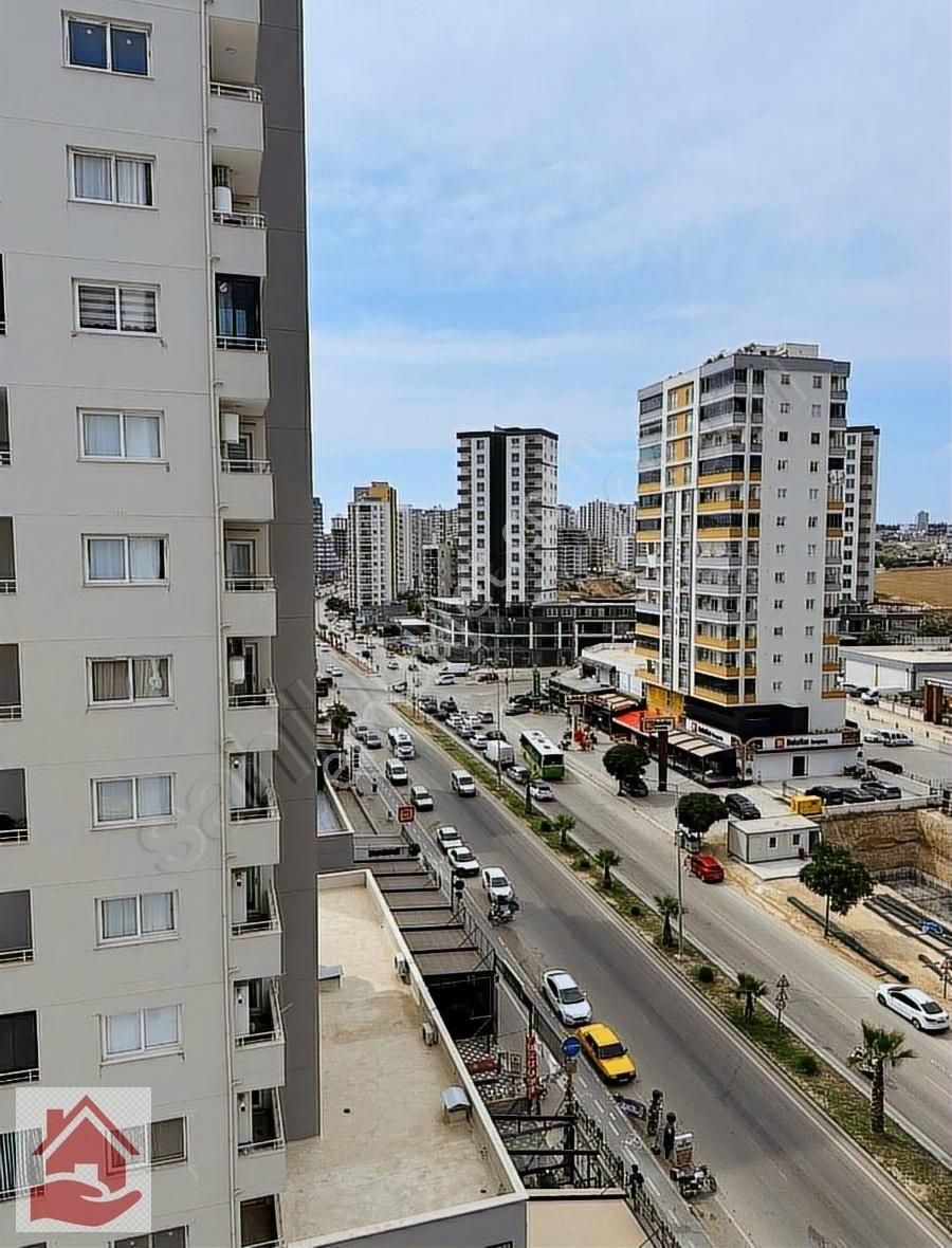 Cadde Üzeri 1+1
