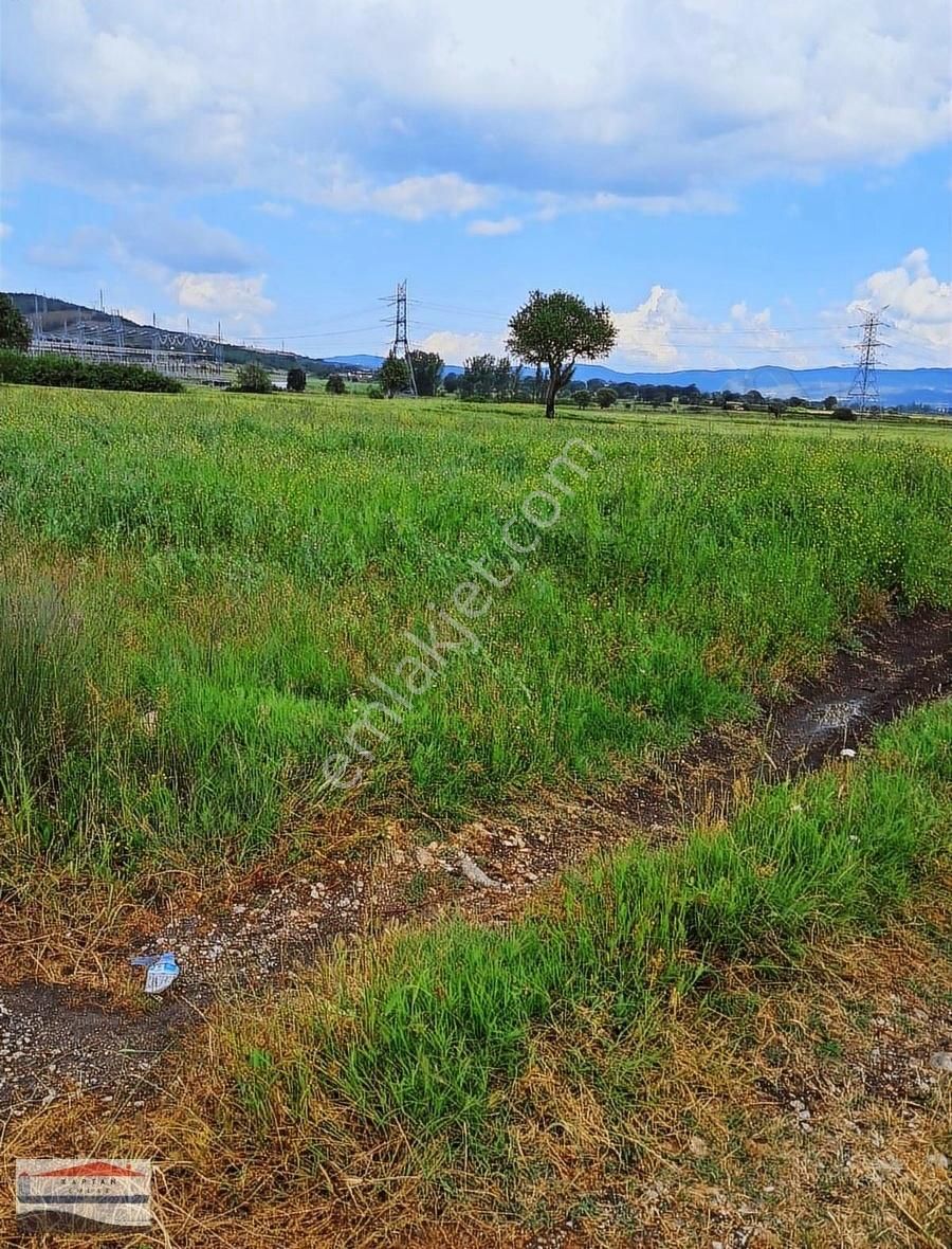 Çanakkale Çan Büyüktepe Köyü Ana Yola Cephe 2350 M2 Satılık - Görsel 3
