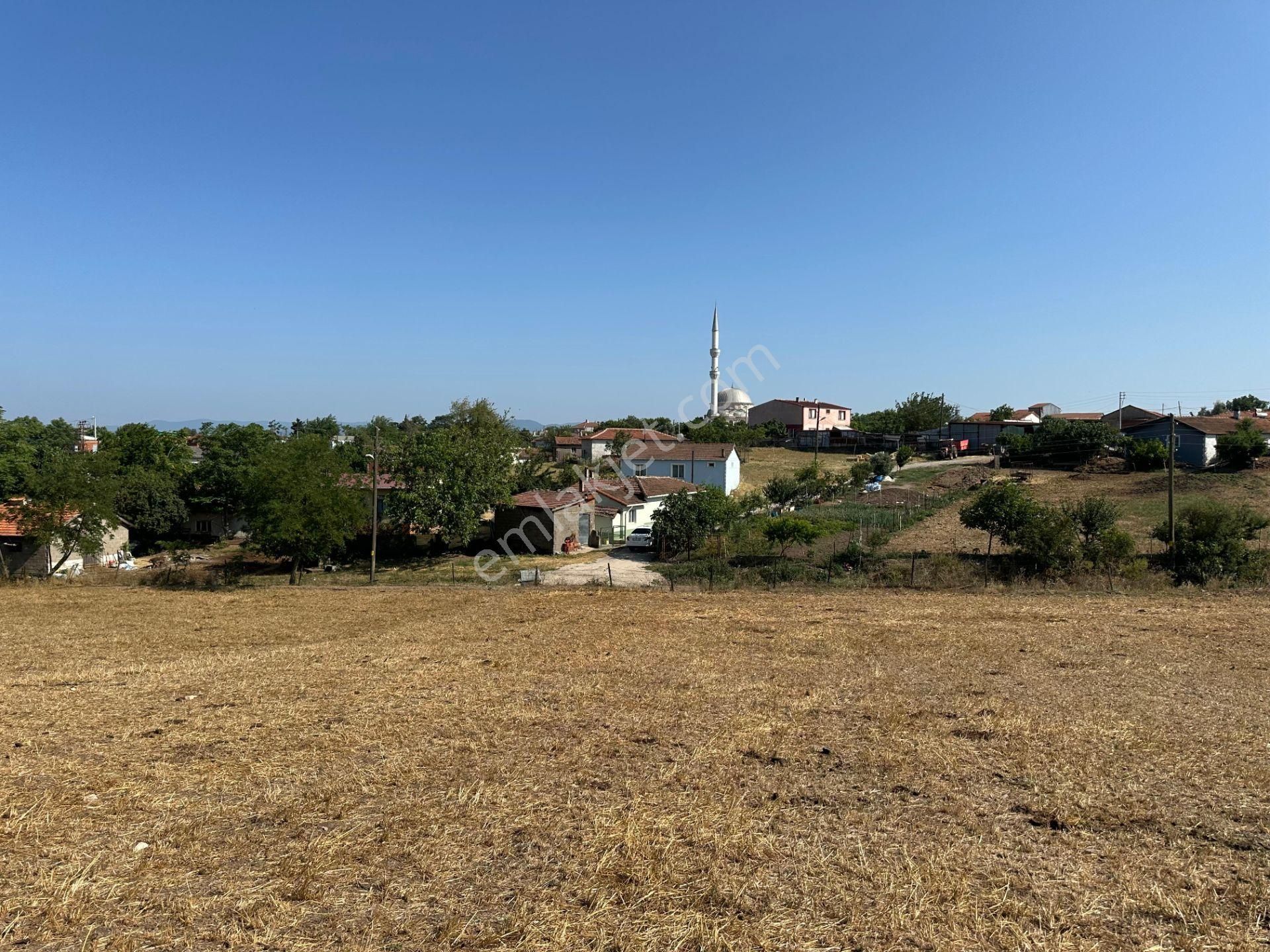 Çanakkale Biga Güleç Köyünde 1.503m2 İmarlı Köyiçi Satılık Arsa