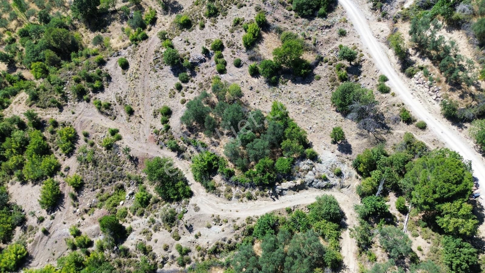 Bergama Çürükbağ Mahallesinde Zeytin, Asma, Badem Ağaçlı Satılık Müstakil Bahçe - Görsel 5