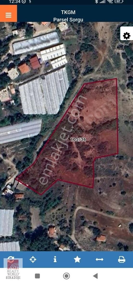 Rw Sıradışından Manavgat-berekette Müstakil Tapulu Zeytinlik