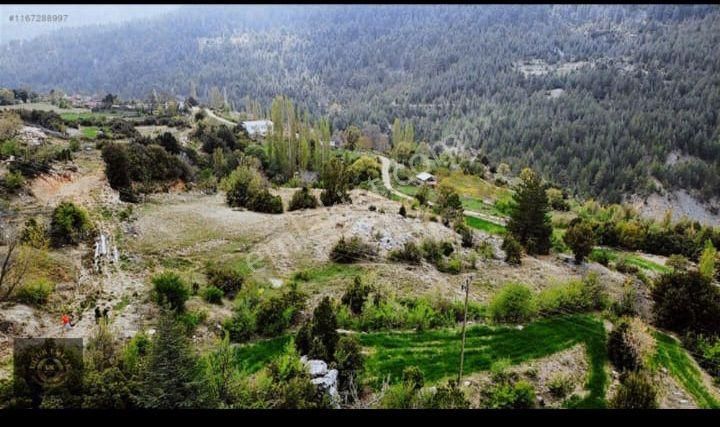 Uğur'dan Seydikemer Dere Mah. 8700 M2 Tek Tapu Fırsat Arazi - Görsel 4