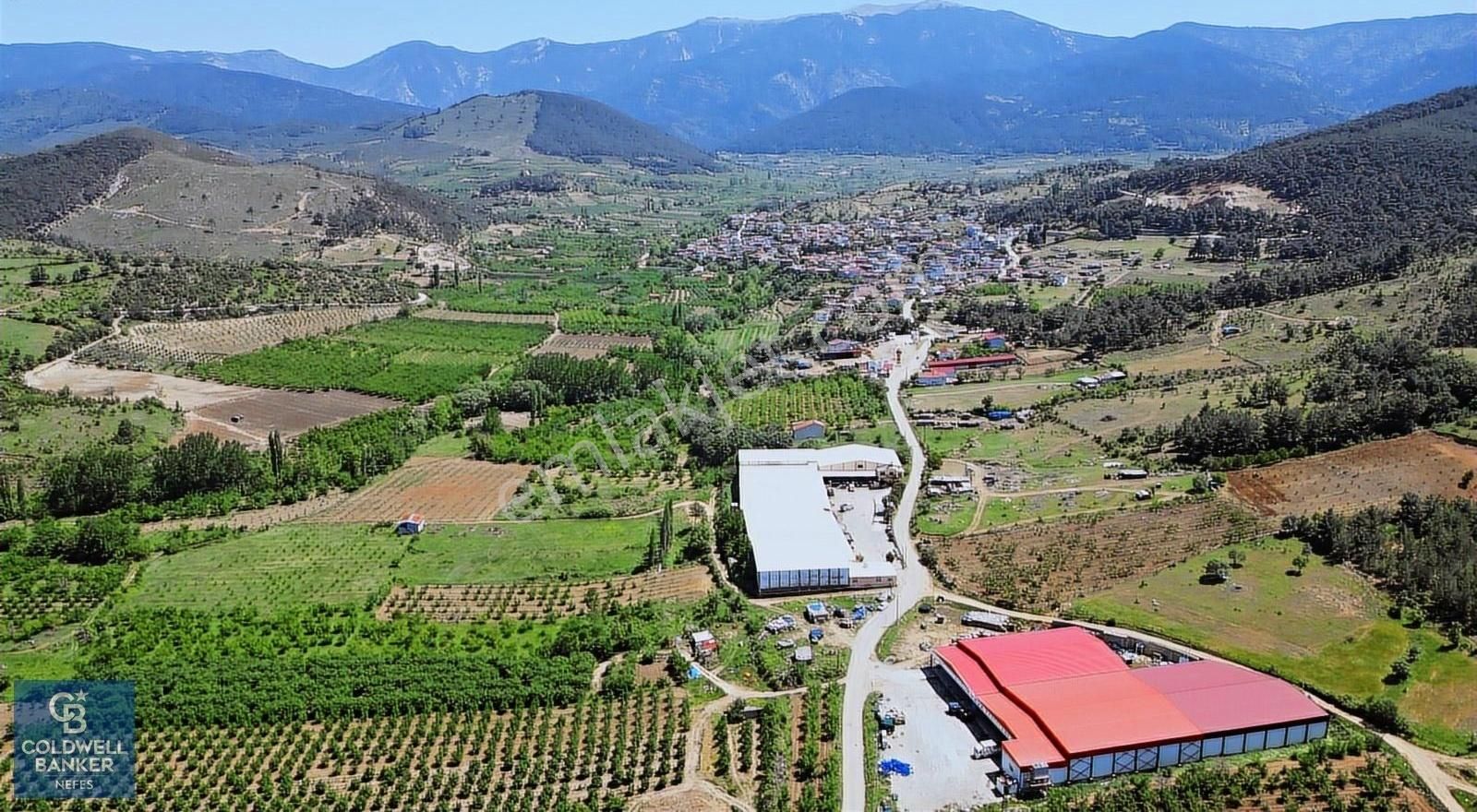 Çanakkale Bayramiç Evciler Köyü'nde 500m²﻿ Fırsat Satılık Arazi