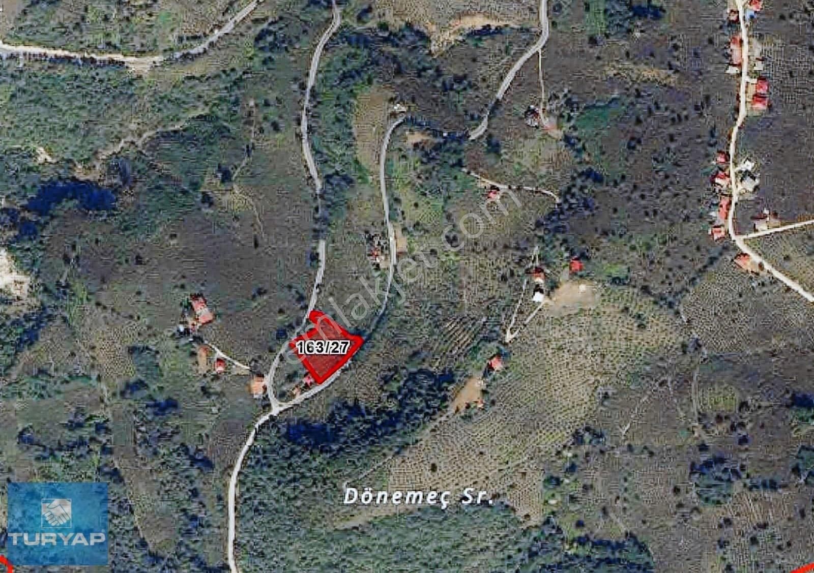 Ordu Ulubey Satılık Fındık Bahçesi. Yatırımlık Fırsat. - Görsel 3