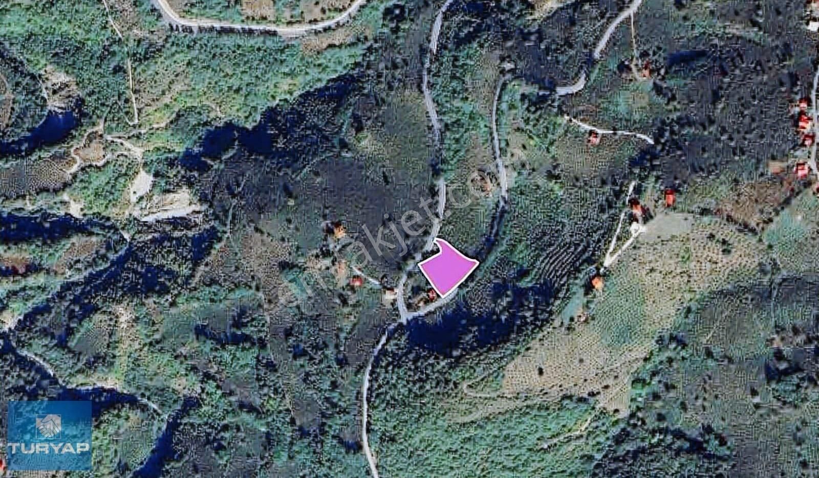 Ordu Ulubey Satılık Fındık Bahçesi. Yatırımlık Fırsat. - Görsel 4