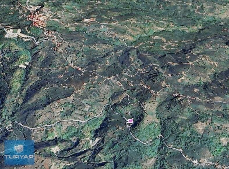 Ordu Ulubey Satılık Fındık Bahçesi. Yatırımlık Fırsat. - Görsel 6