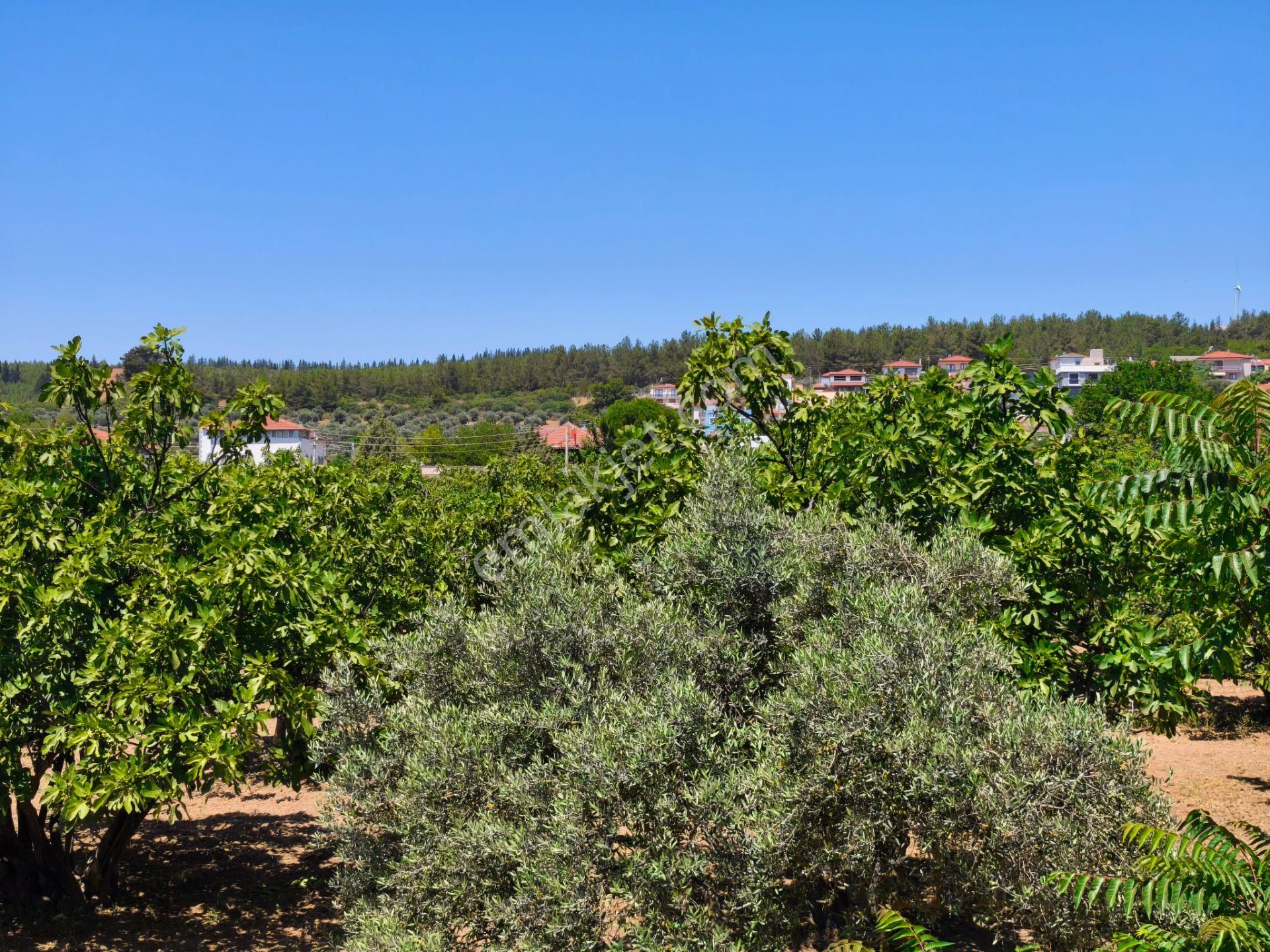 Selçuk / Çamlık’da, İmar Sınırında Satılık 9169 M² Arazi… - Görsel 18