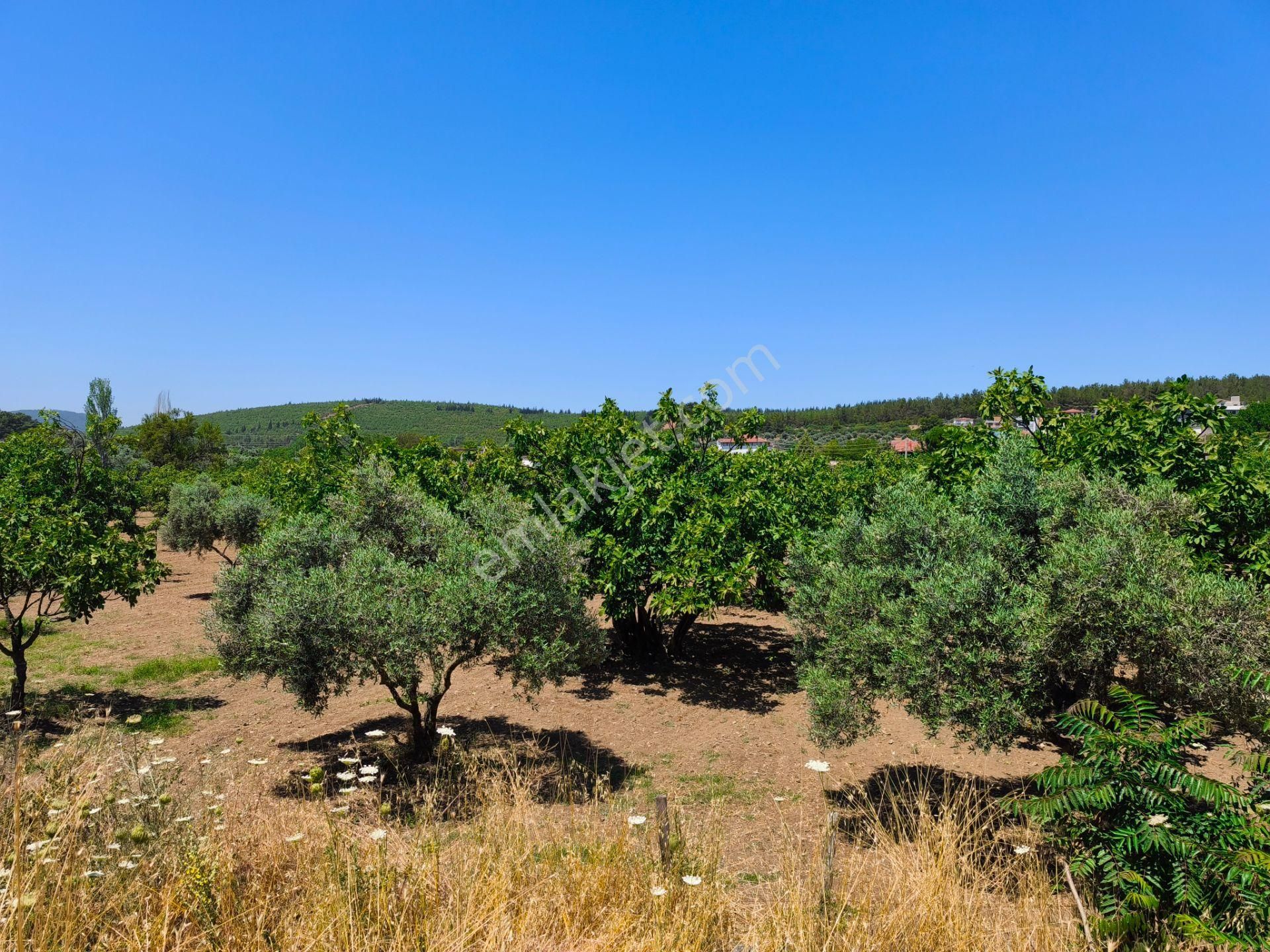 Selçuk / Çamlık’da, İmar Sınırında Satılık 9169 M² Arazi… - Görsel 17