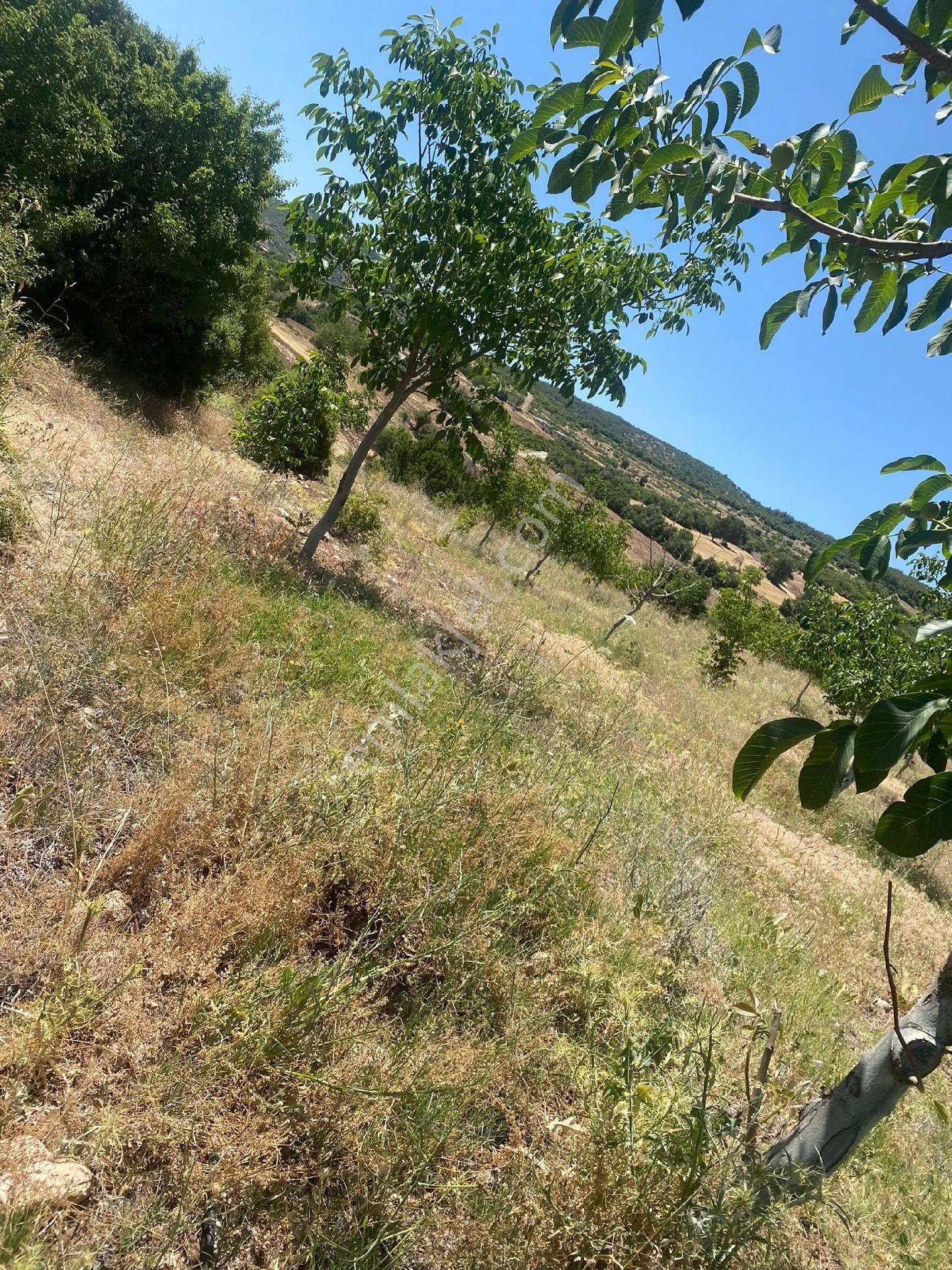 Burdur Yeşilova Önercikte 7.700m Satılık Tarla