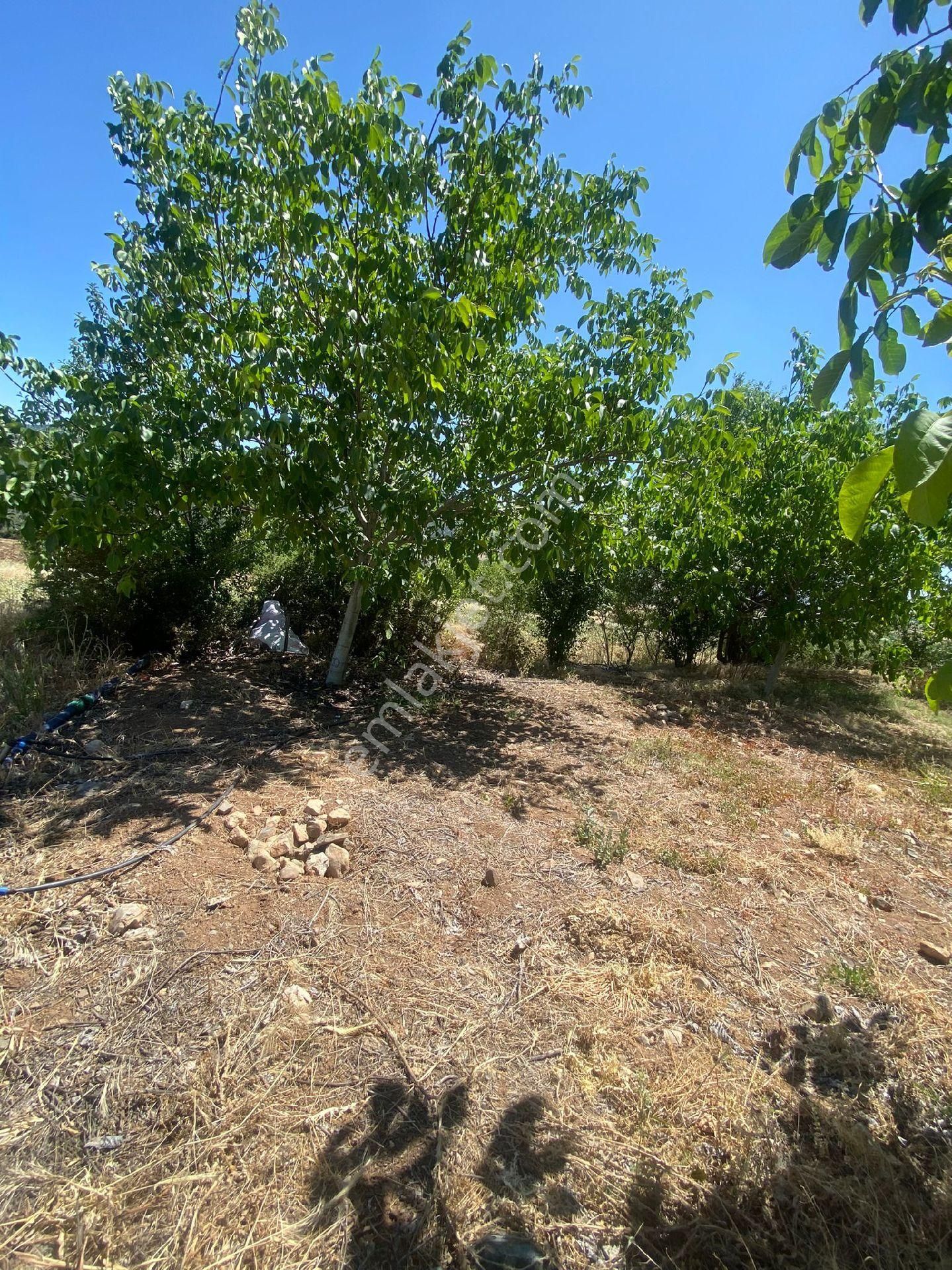 Burdur Yeşilova Önercikte 7.700m Satılık Tarla - Görsel 12