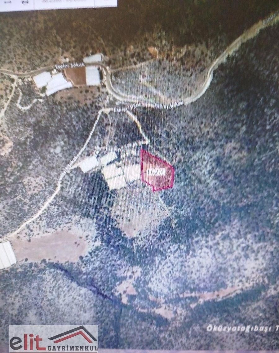 Antalya Demre Yavu Da Deniz Manzaralı 11donum Sit Li Tarla