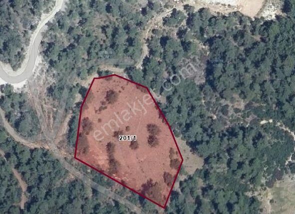 Muğla Yatağan Kozağaç Ta Satılık 8.288 M² Tarla