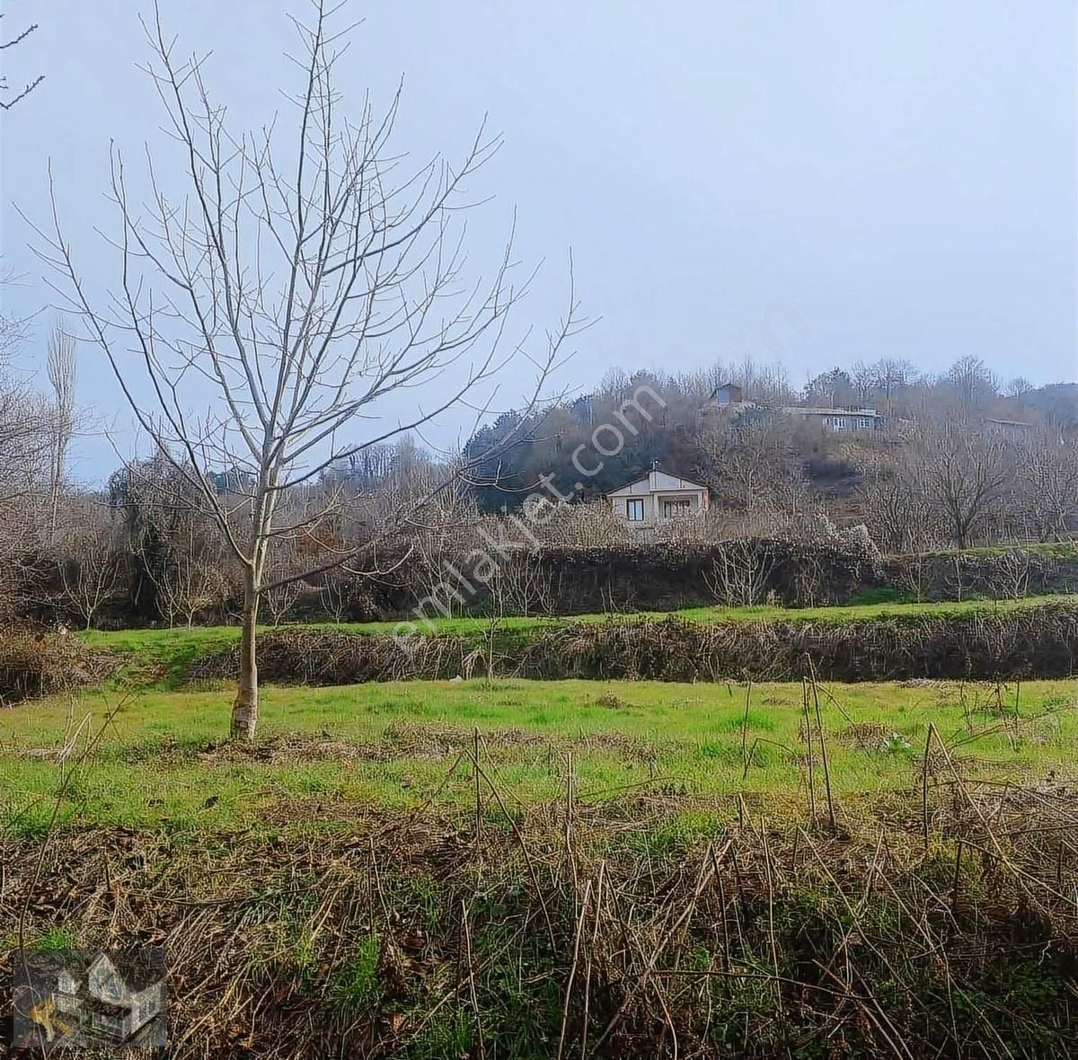 Geyve Alıplar Köyü Konut İmarlı Arsa