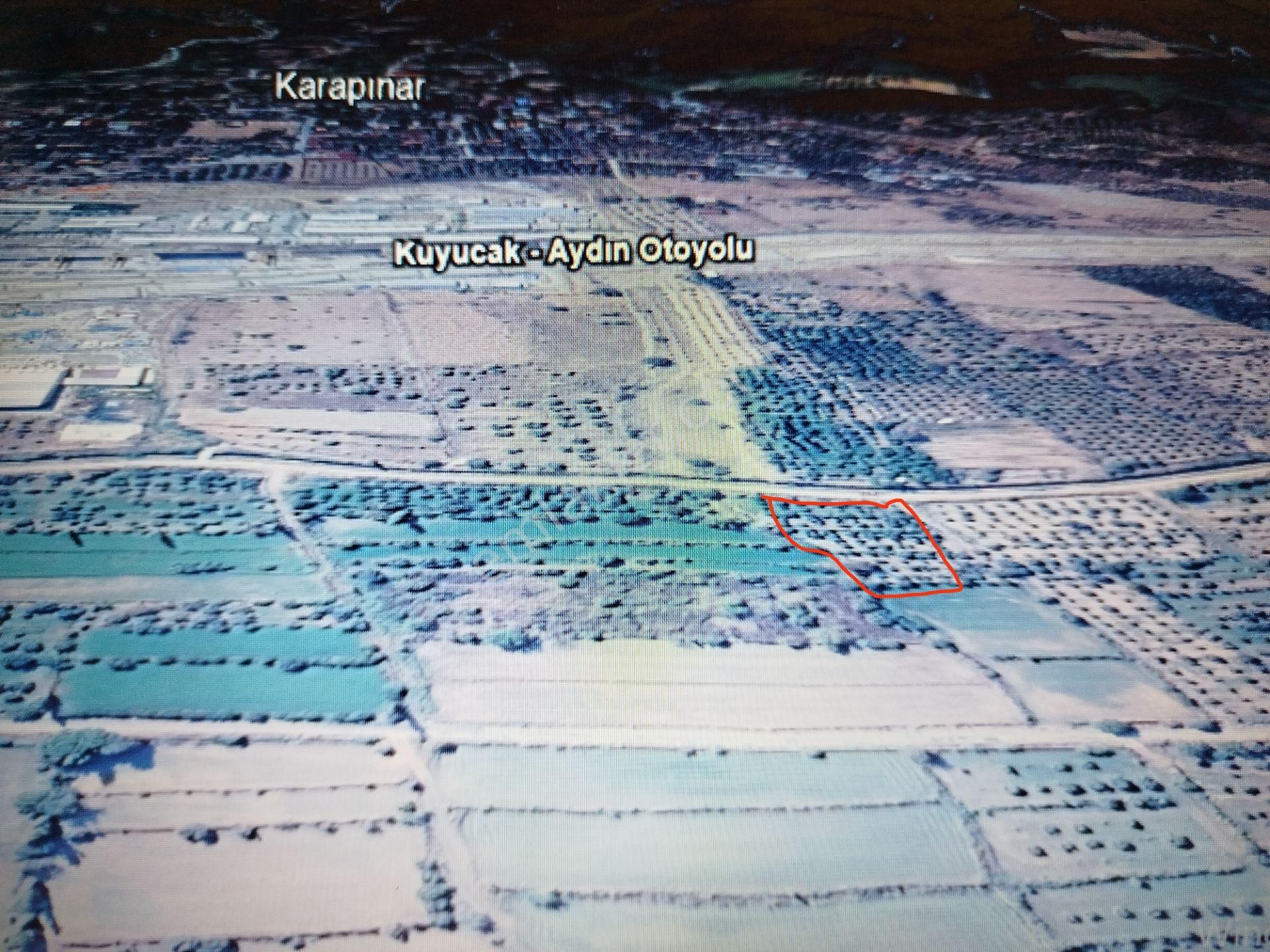 Aydın Kuyucak Karapınar'da 3.178 M² Meyve Bahçesi