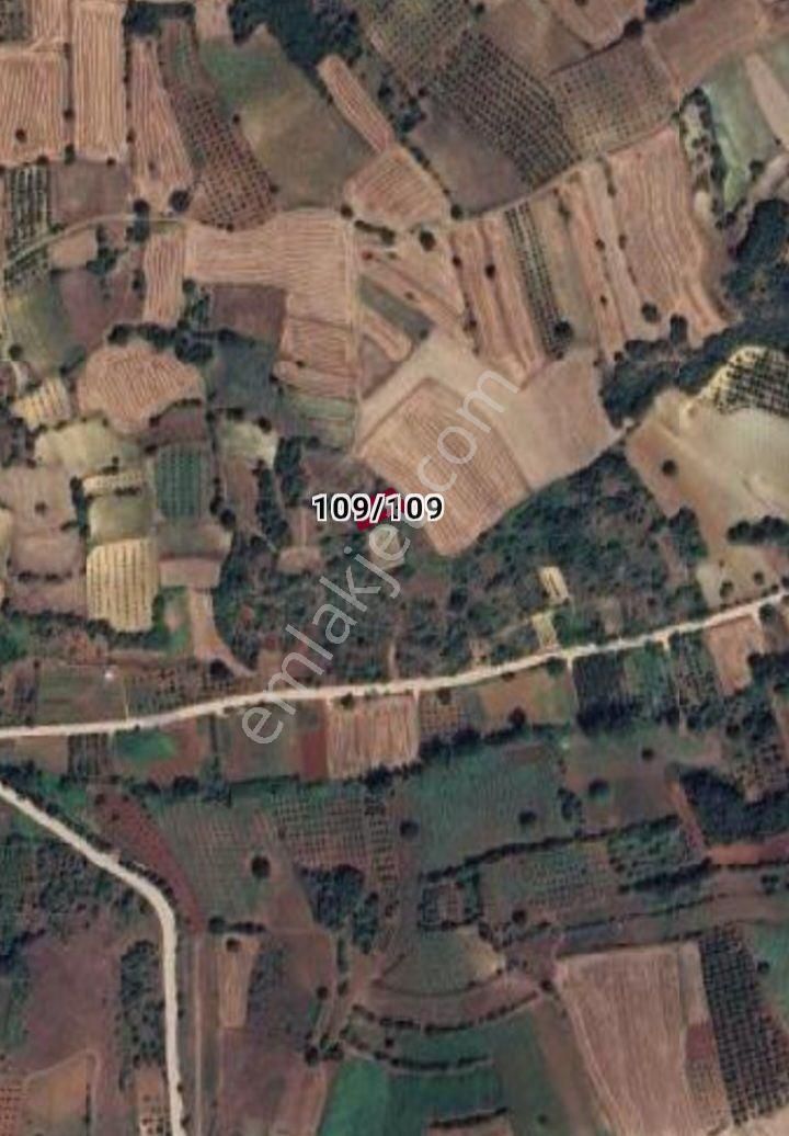 İnegöl Halhalcada Fırsat Tarla
