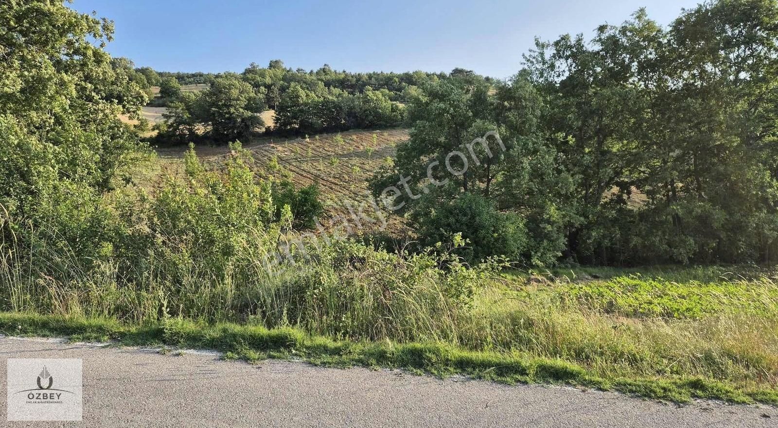 Gölpazarı Kavak'ta Ana Yol Kenarı Ceviz Ve Meyve Bahçesi