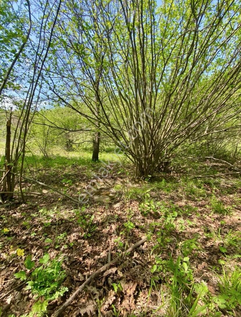 Inegöl De Satılık Tarla - Görsel 7