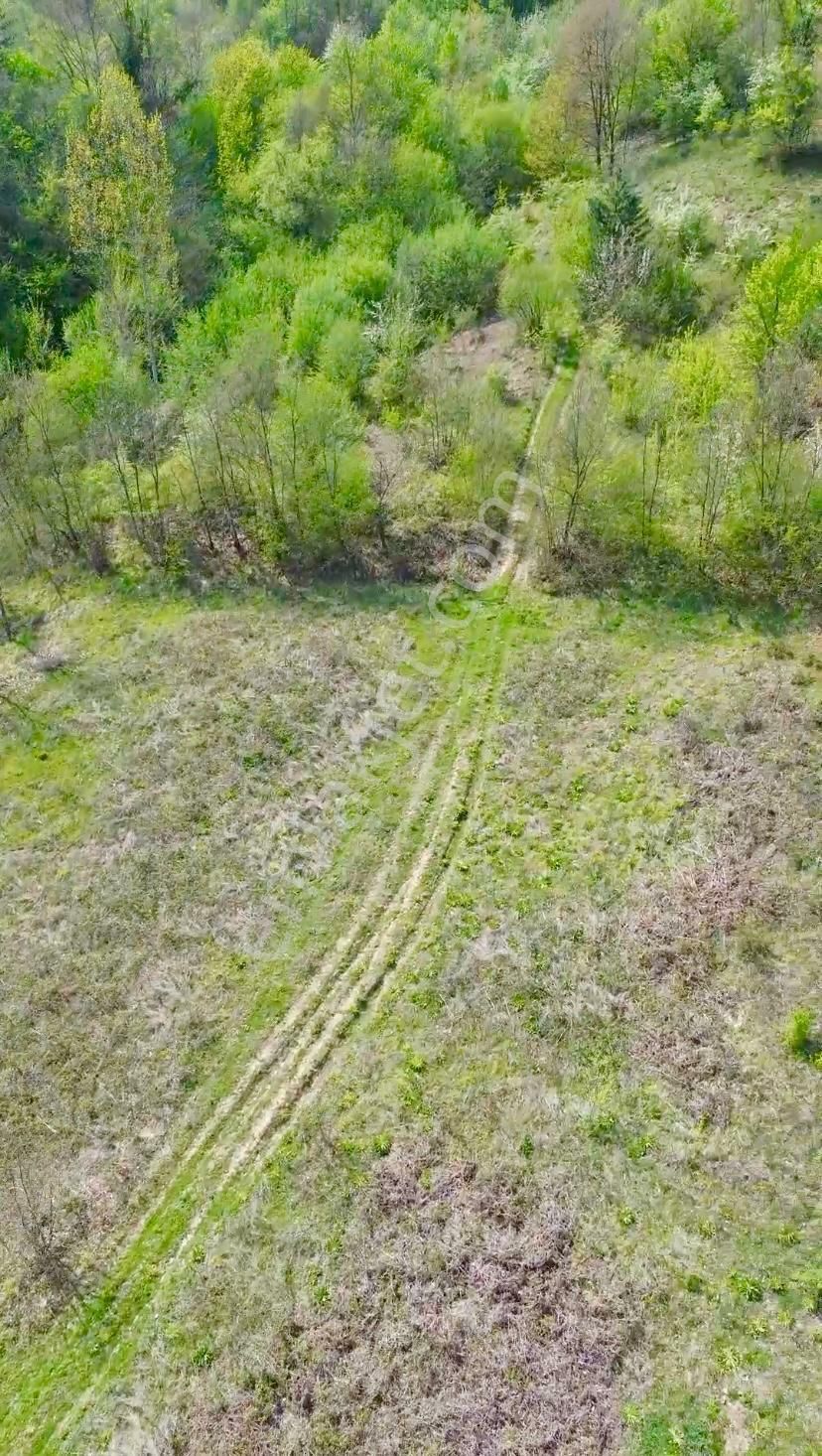 Inegöl De Satılık Tarla - Görsel 2