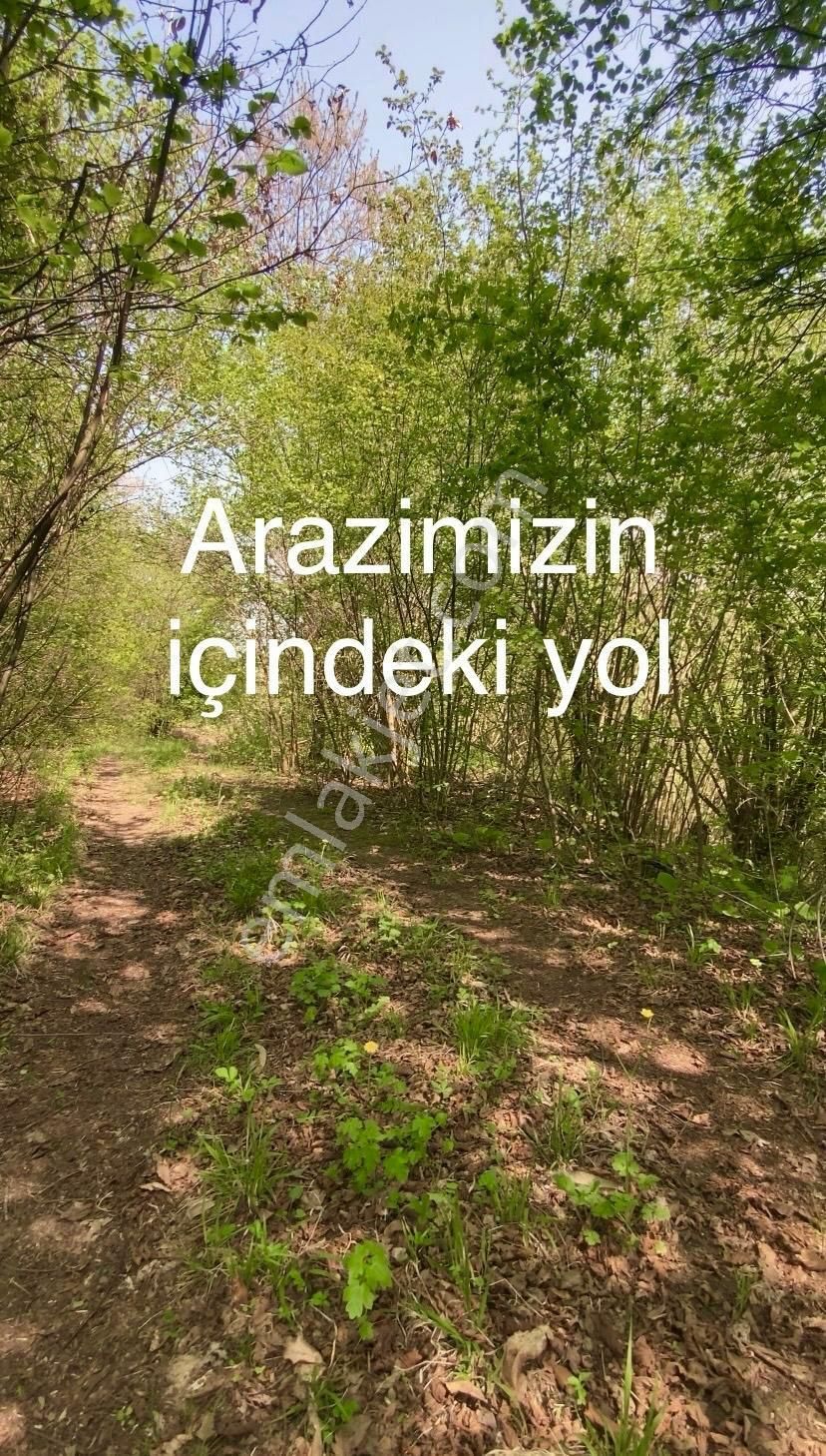 Inegöl De Satılık Tarla - Görsel 10