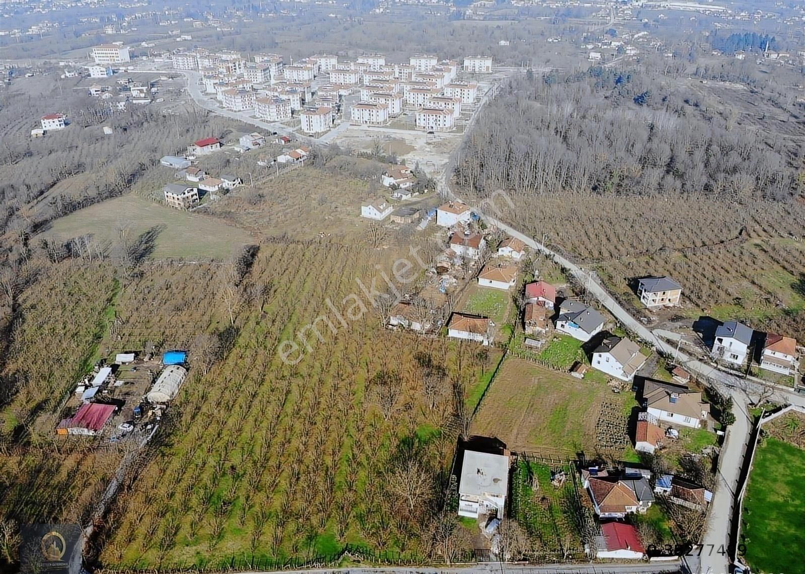 Öğretmen,den Kirazlı Tokilerin Karşısında 14.783,65 M2