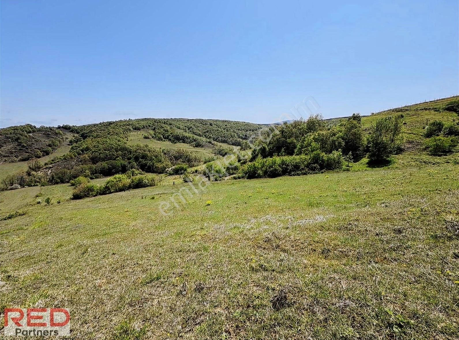 Kocaeli Körfez Dereköy'de Yola Cepheli, İmarlı 750 M2 Arsa