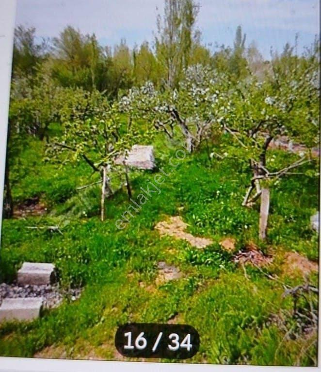 Konya,ılgın,gökçeyurt,özlem,müstakil,meyve,bahçeli,orman,yanı,yolu,olan, Dere,yanı,şahsınıza,münasır - Görsel 3