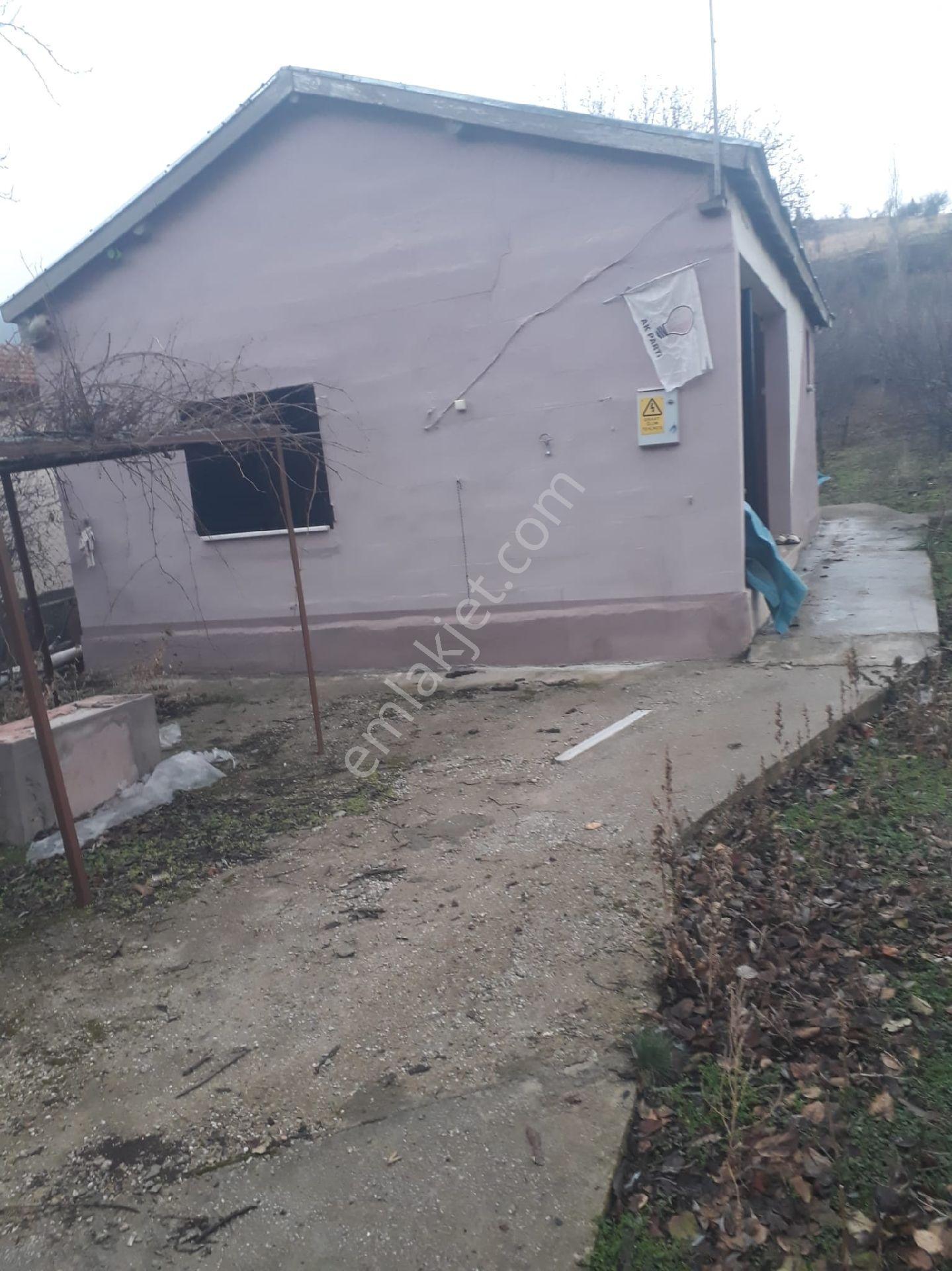 Konya,ılgın,gökçeyurt,özlem,müstakil,meyve,bahçeli,orman,yanı,yolu,olan, Dere,yanı,şahsınıza,münasır - Görsel 16
