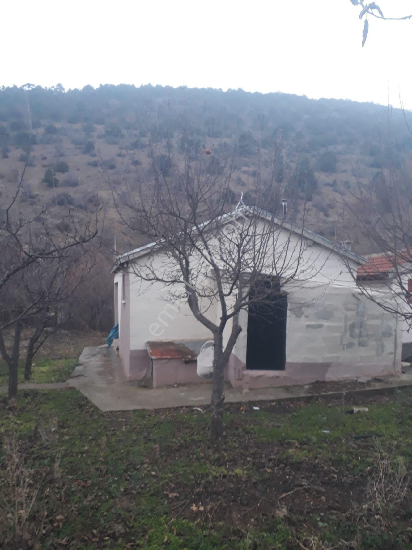Konya,ılgın,gökçeyurt,özlem,müstakil,meyve,bahçeli,orman,yanı,yolu,olan, Dere,yanı,şahsınıza,münasır - Görsel 8