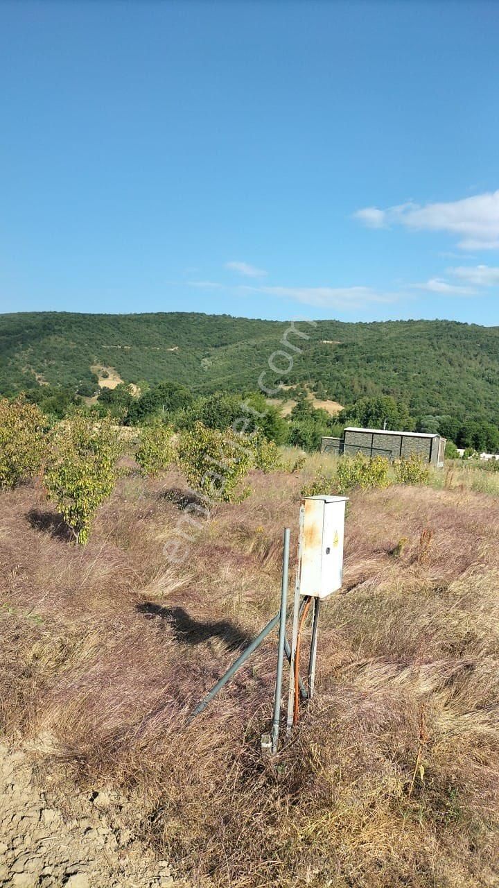 500 M2 Elektrik Su Ulaşım Sorunu Yok.!!