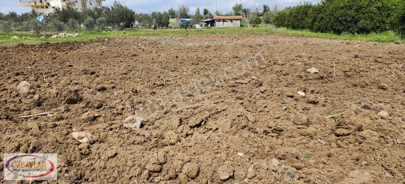 Antalya Manavgat Taşağılda Satılık Anayola Yakın Tarla - Görsel 2