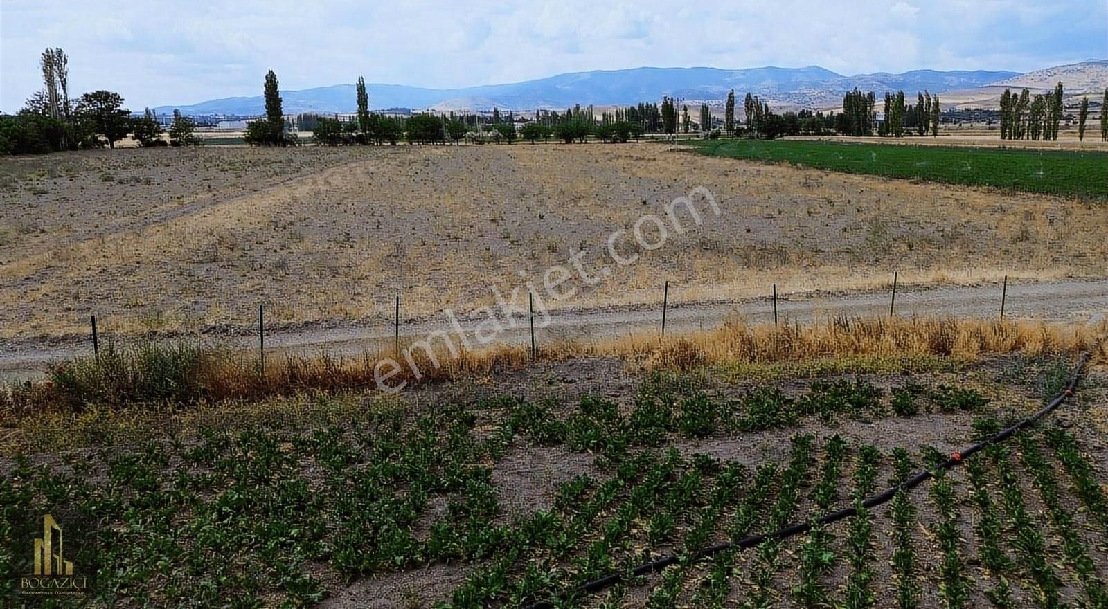 //boğaziçi Gayrimenkul//22.608 M2 Tarla/ Anayola 375 Metre//