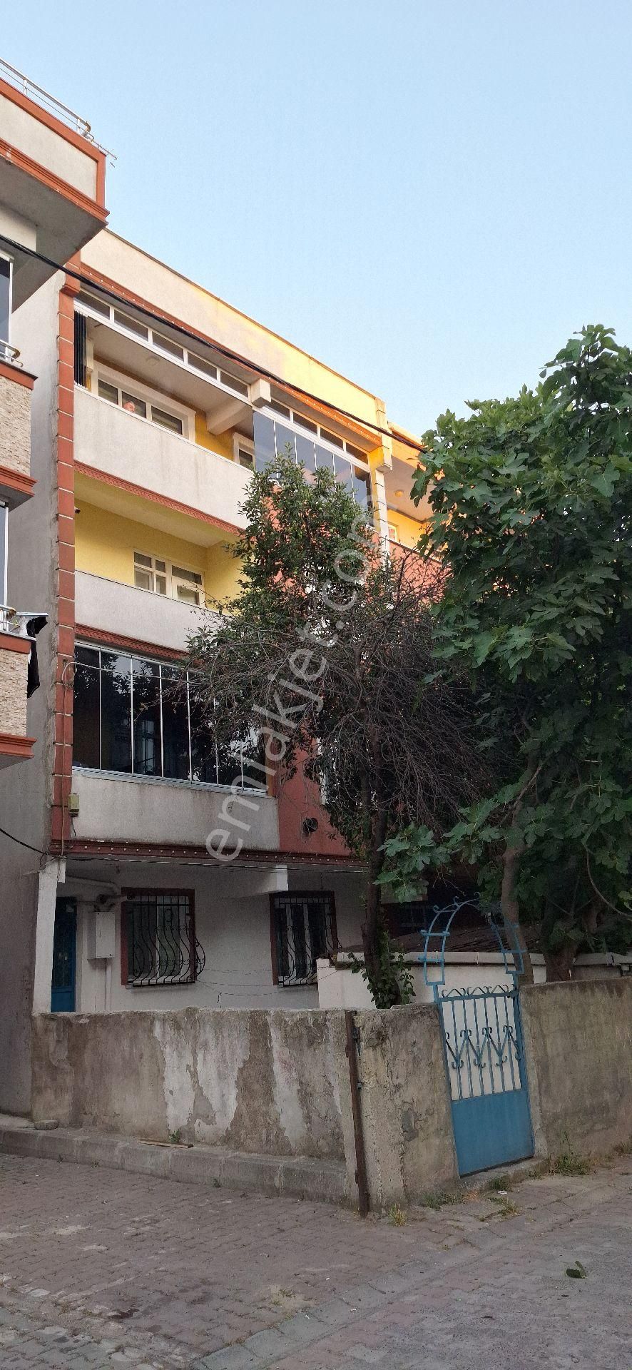 Kiralık Daire