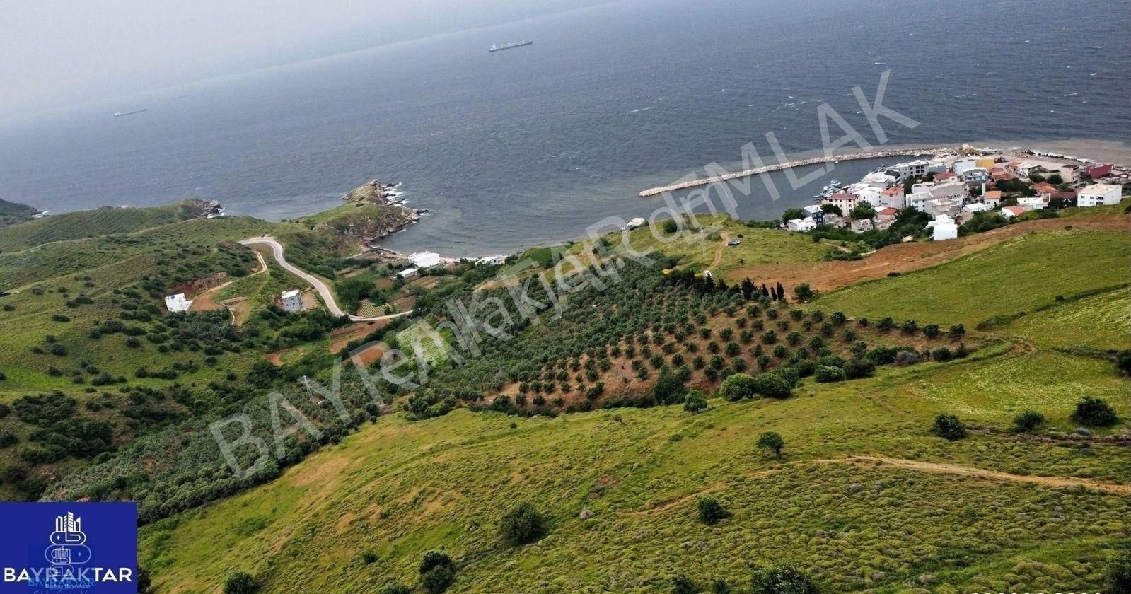 ( Videolu)bandırma Dutlimanında Muhteşem Deniz Manzaralı 7.600 M2 Mükemmel Arazi Bayraktar Emlak'tan