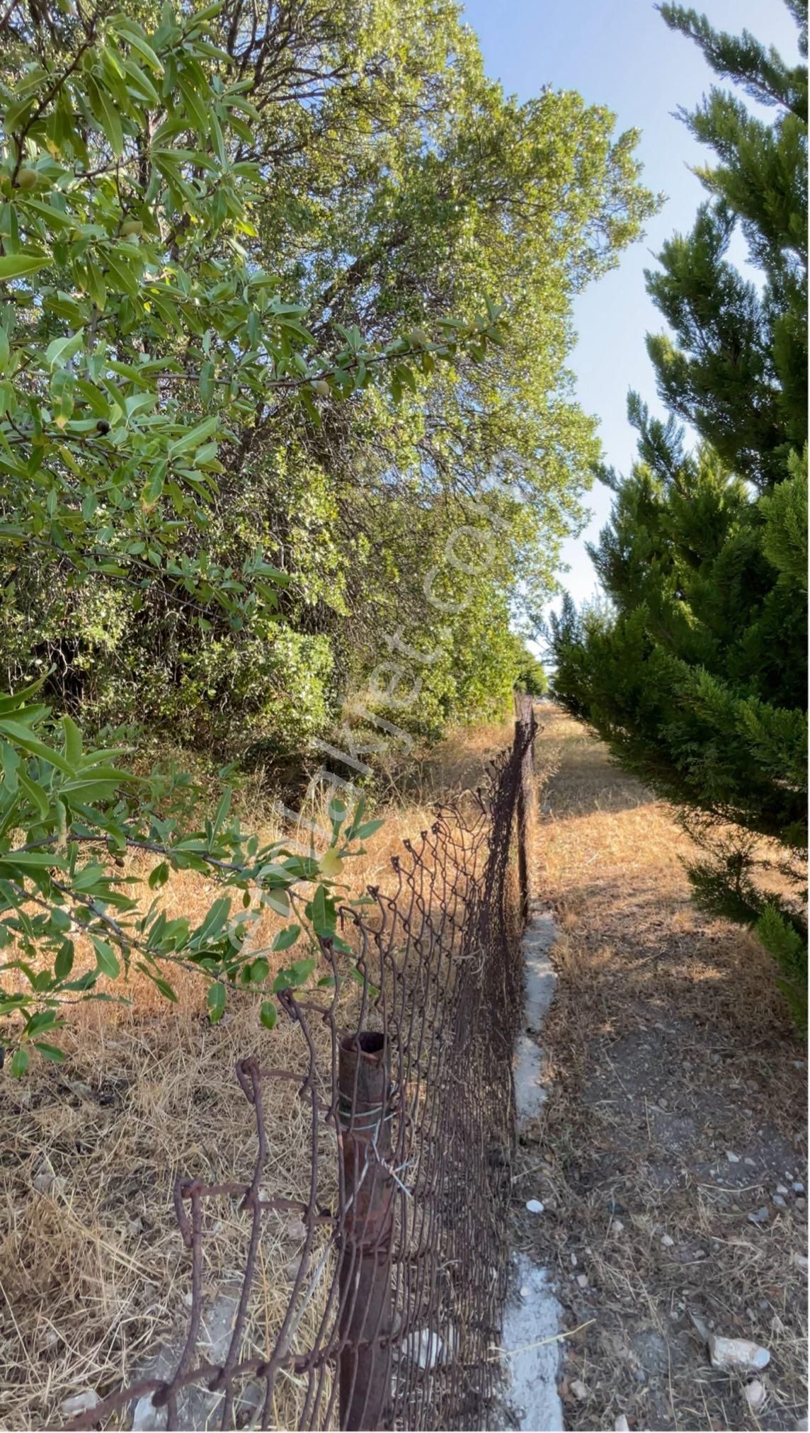Çeşme’nin En Gözde Yeri