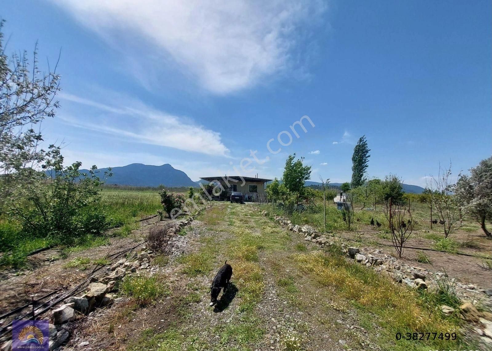 Muğla Ortaca Tepearasında Satılık Müstakil Ev Ve Arazi - Görsel 15