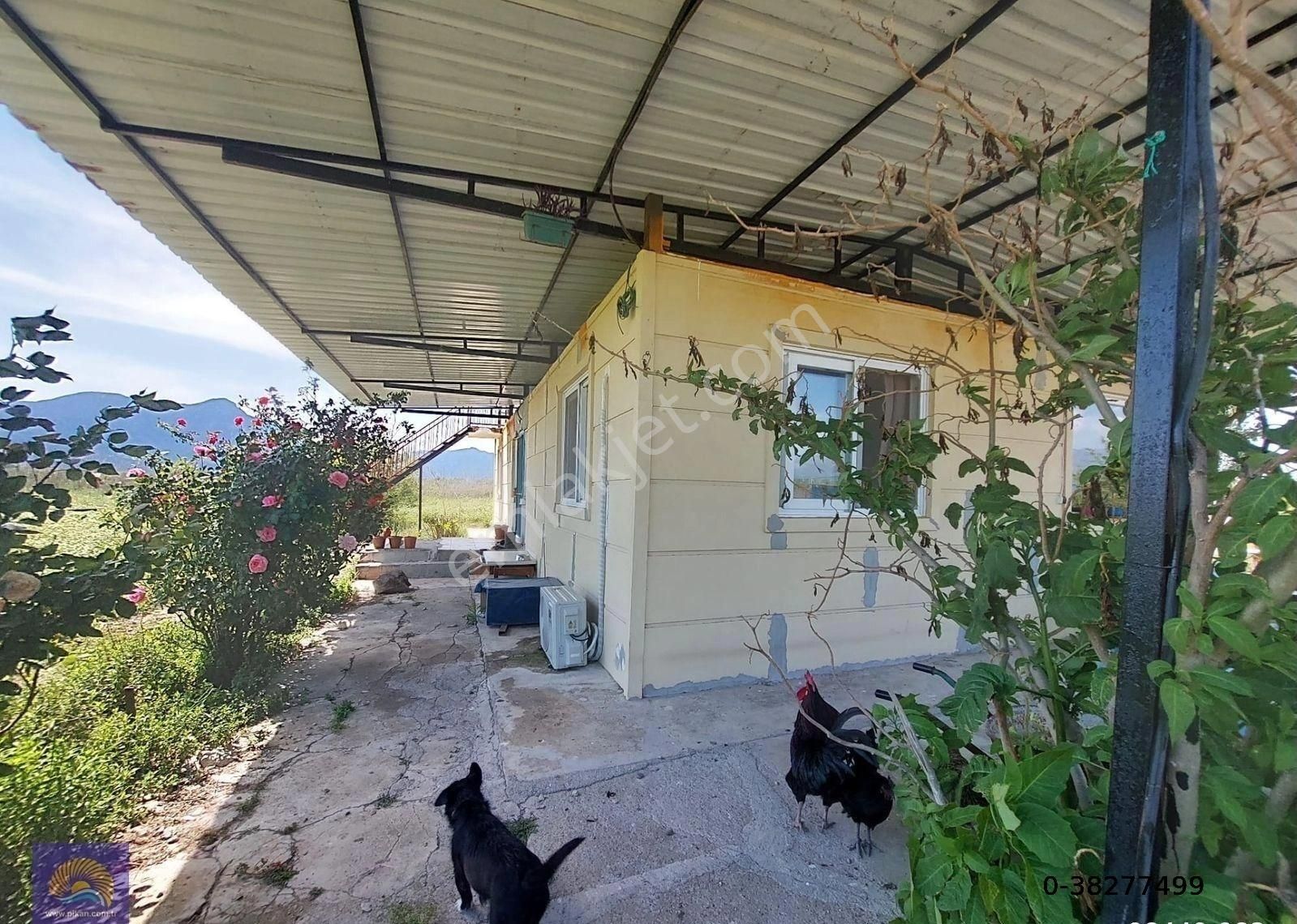 Muğla Ortaca Tepearasında Satılık Müstakil Ev Ve Arazi - Görsel 4