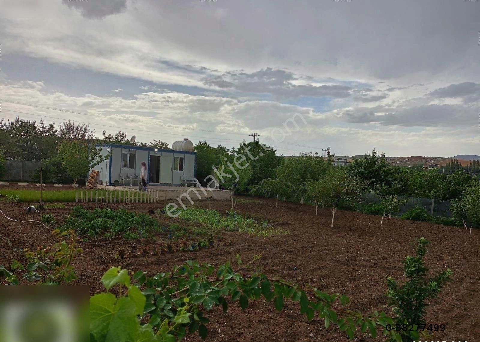 ***cantürk'ten Satılık Evli Yetişmiş Ağaçlı Tapulu Bahçe***