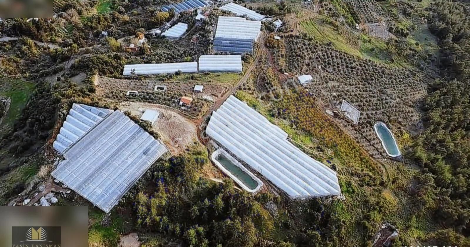 İncircik Mah. Satılık 22 Dönüm Yatırımlık Tarım-turizim Fırsatı - Görsel 4