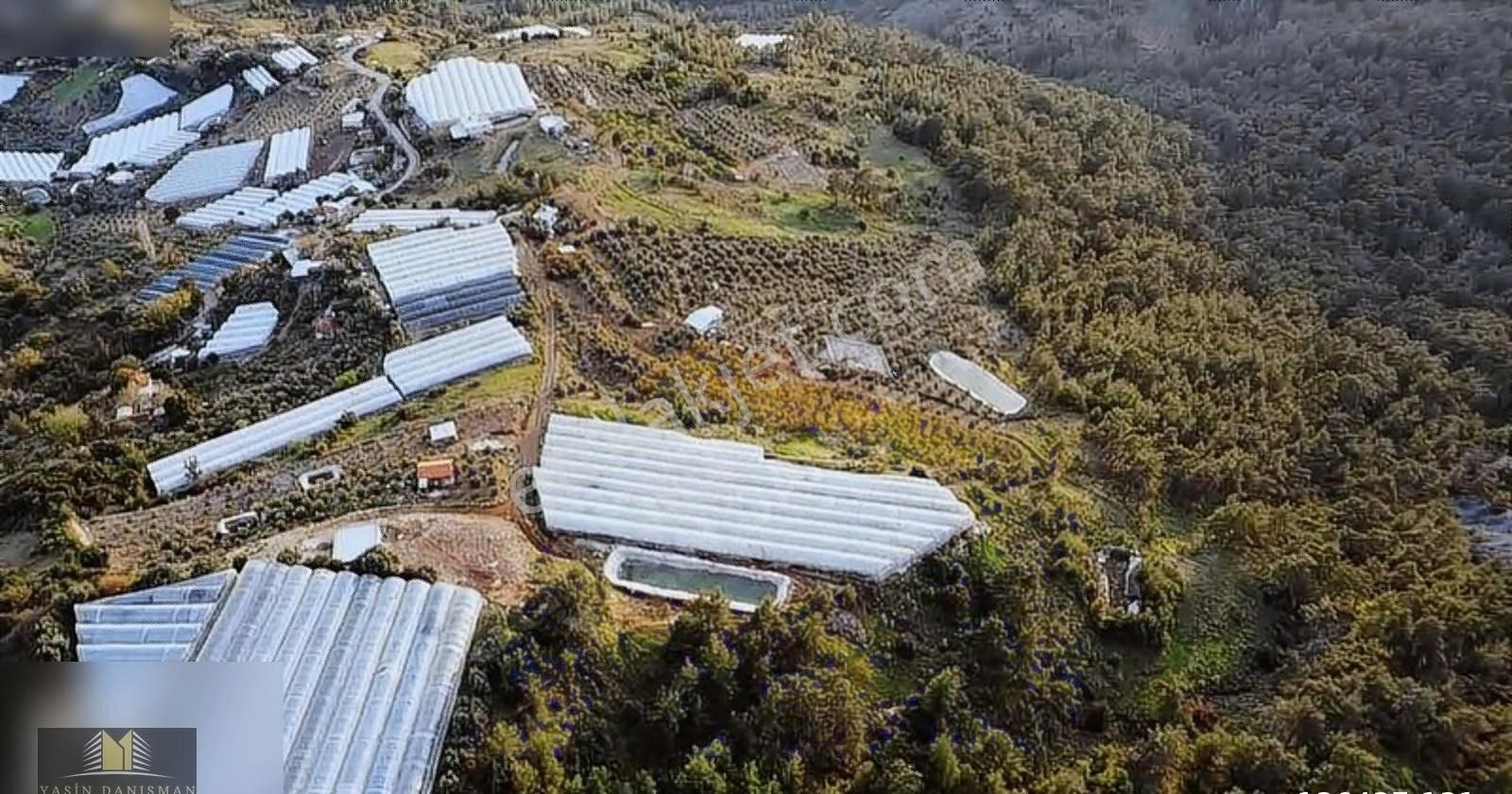 İncircik Mah. Satılık 22 Dönüm Yatırımlık Tarım-turizim Fırsatı - Görsel 3