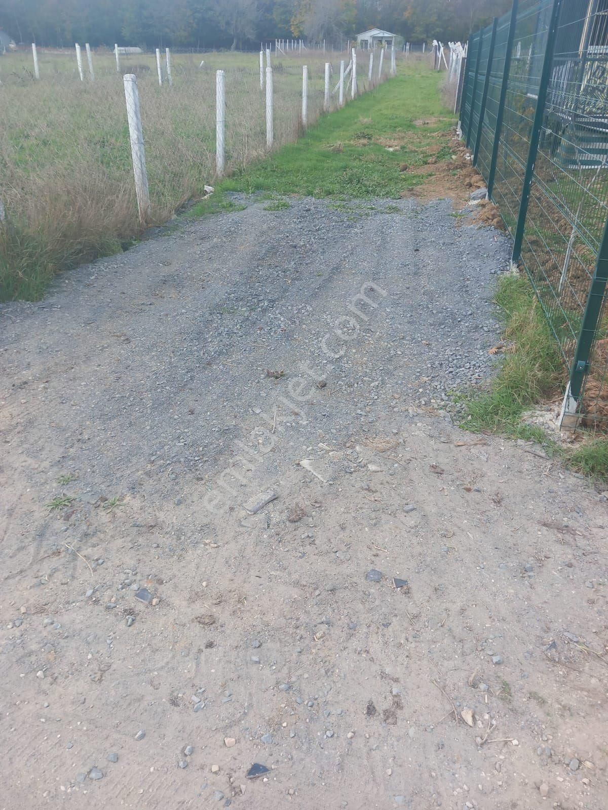 Zaferyapıgayrimenkulden Satılık 230m2 Arsa İçinde Konteyner Ev Mecut İstanbul Çatalca Çiftlikköyde - Görsel 6