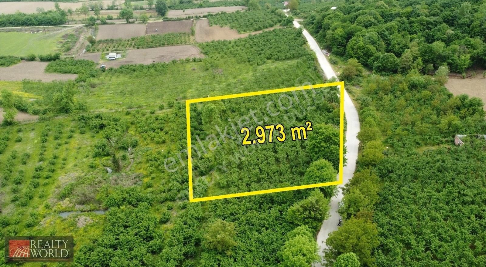 Düzce Gümüşova Elmacık Köyü Satılık 2,973 M² Fındıklık Arsa