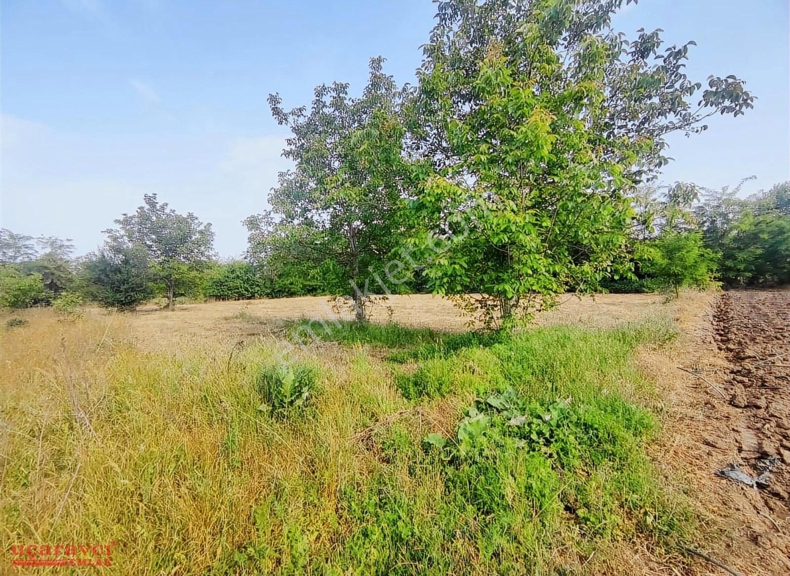 Uçaravcı'dan Kurşunlu Mah. 1.611 M² Satılık 2 Adet Tarla
