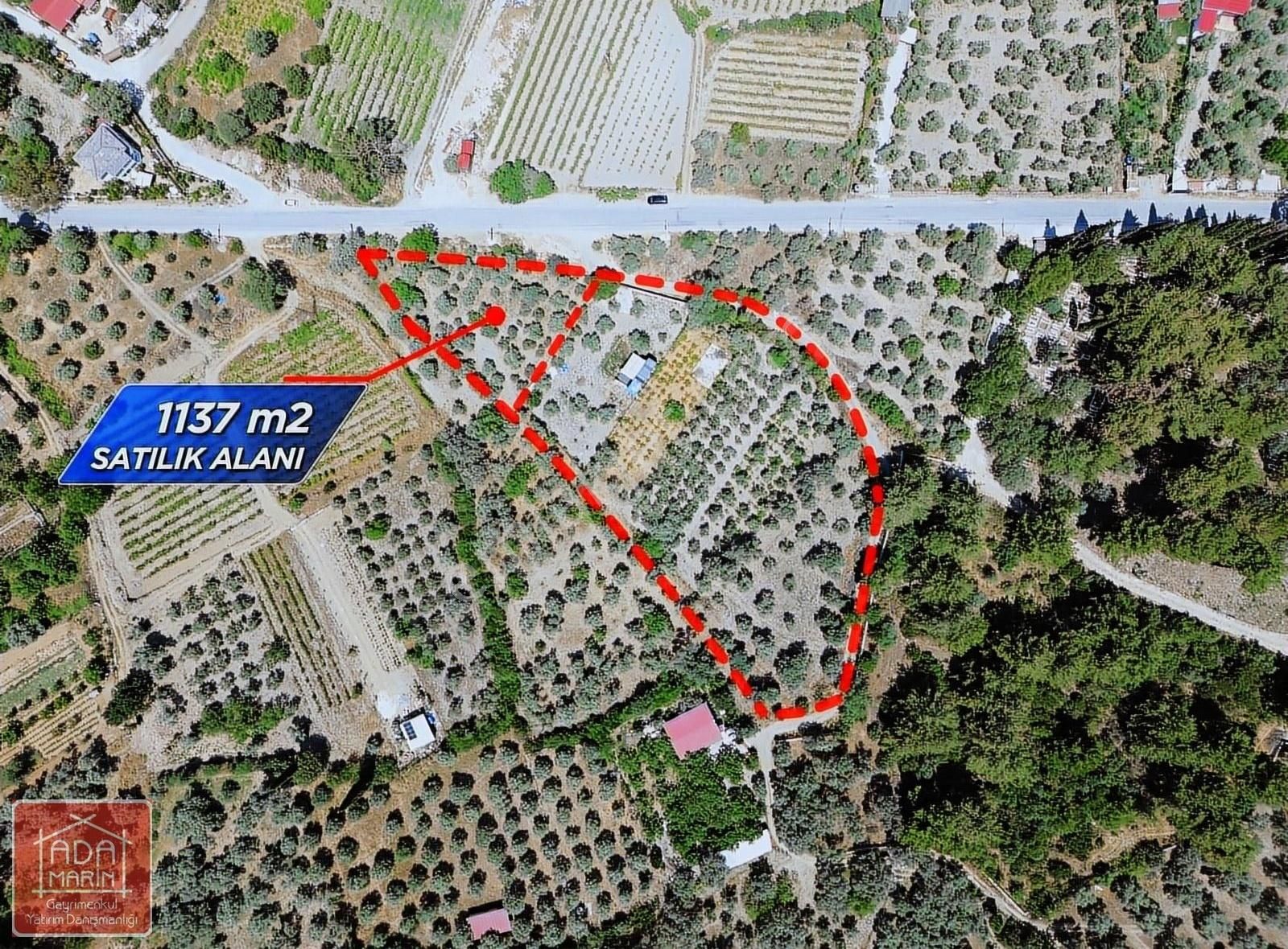 Kuşadası Kirazlı'da Huzurlu Bir Hayat İçin 1137 M² Tarla