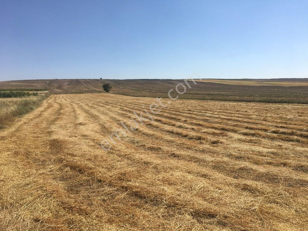 Sahibinden Satılık Tarla