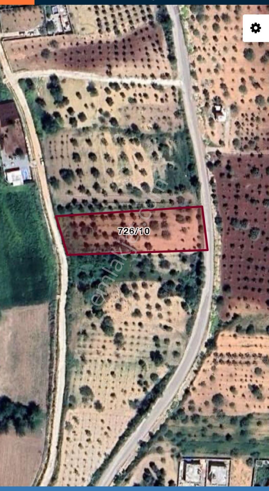 Ertaş Group'tan Oğuzeli Gürsu Da Satılık Zeytin Ve Fıstık Bahçesi