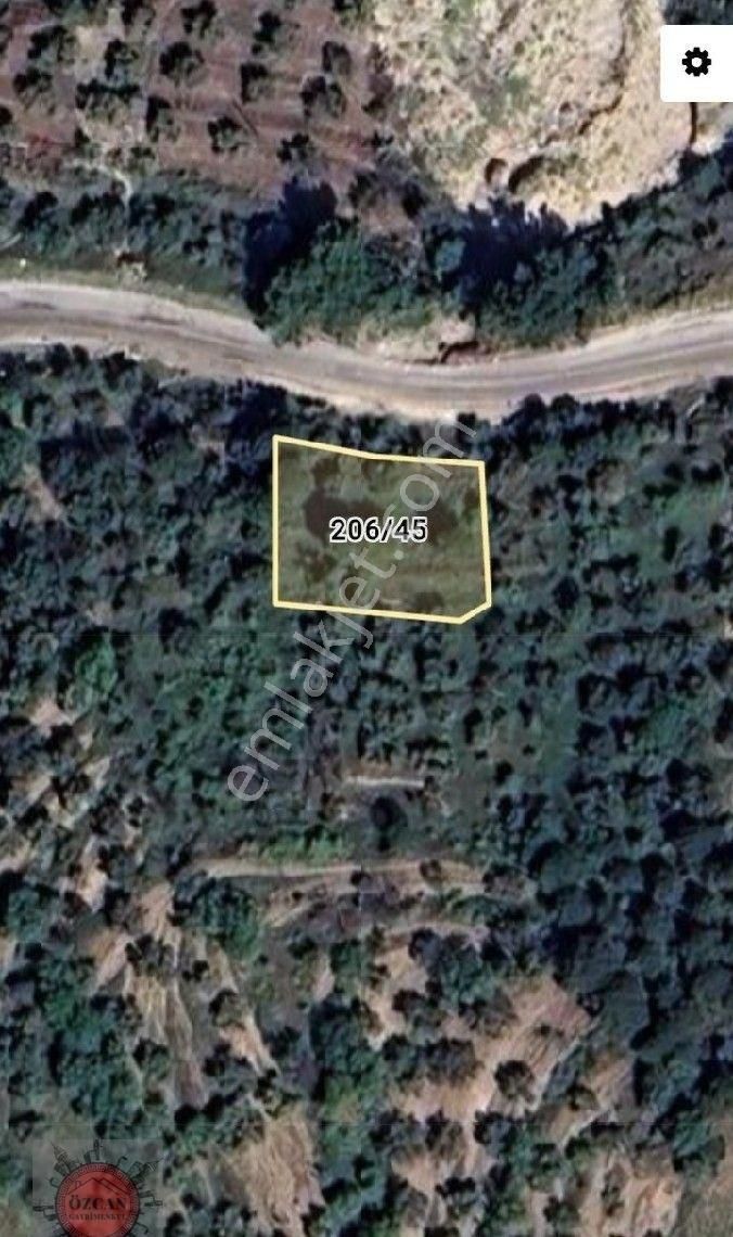 Balıkesir Gömeç Kum Kedik Mahallesinde Deniz Manzaralı Zeytinlik Satılıktır